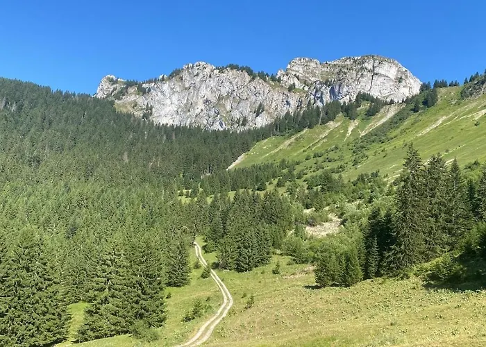 Hébergement de vacances Tiny&campagne